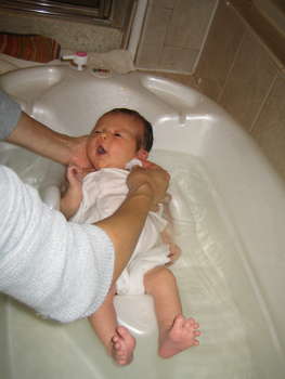 Image 2006-09-02-IXY50-3271.jpg
