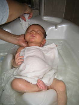 Image 2006-09-02-IXY50-3273.jpg
