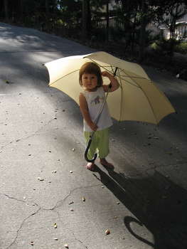 Image 2006-09-20-IXY800-0432.jpg