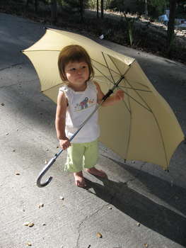 Image 2006-09-20-IXY800-0433.jpg