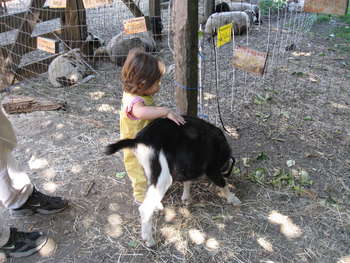 Image 2006-09-24-IXY800-0505.jpg