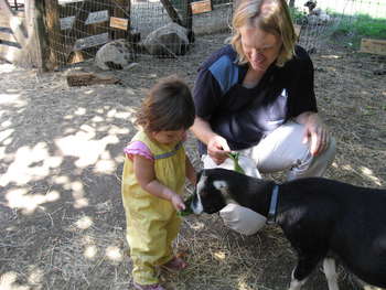 Image 2006-09-24-IXY800-0514.jpg