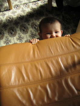 Image 2007-04-05-IXY50-4446.jpg