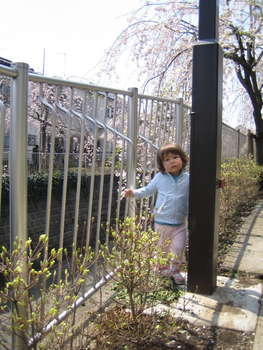 Image 2007-04-08-IXY50-4491.jpg