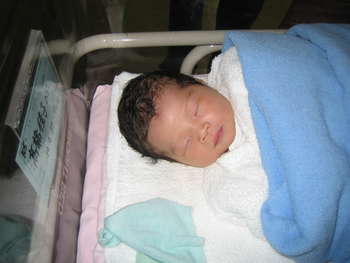 Image 2007-04-22-IXY50-4581.jpg