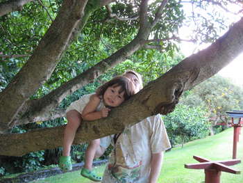 Image 2007-08-25-IXY800-1613.jpg