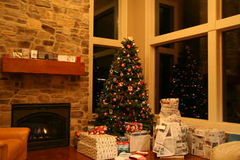 Image 2007-12-25-20D-0320.jpg