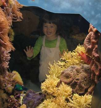 Image 2007-02-14-IXY50-4087.jpg