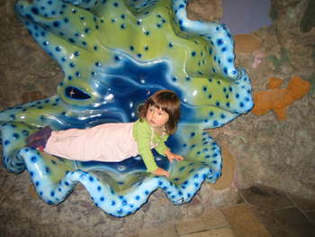 Image 2007-02-14-IXY50-4089.jpg