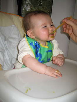 Image 2007-02-24-IXY50-4147.jpg