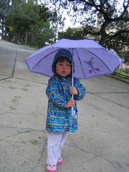 Image 2007-02-28-IXY50-4170.jpg
