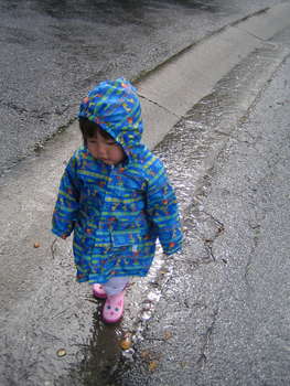 Image 2007-02-28-IXY50-4173.jpg