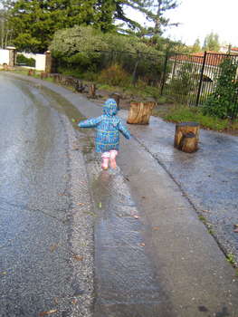 Image 2007-02-28-IXY50-4174.jpg