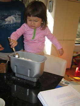 Image 2007-01-12-IXY50-3902.jpg