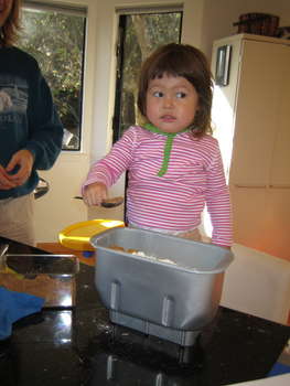 Image 2007-01-12-IXY50-3904.jpg
