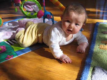 Image 2007-01-18-IXY50-3933.jpg