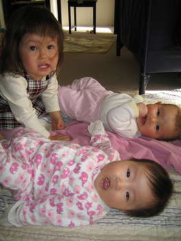 Image 2007-01-19-IXY50-3935.jpg