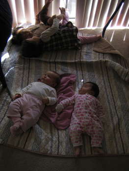 Image 2007-01-19-IXY50-3941.jpg