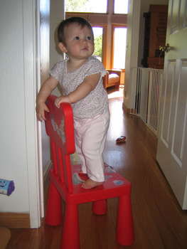 Image 2007-07-04-IXY50-5113.jpg