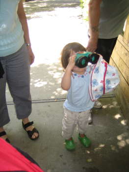 Image 2007-06-11-IXY50-4974.jpg