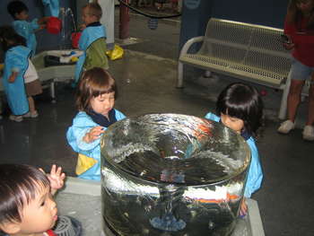 Image 2007-06-29-IXY50-5084.jpg