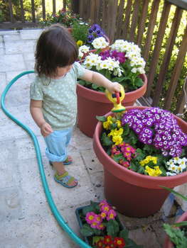 Image 2007-03-16-IXY50-4248.jpg