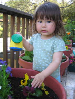 Image 2007-03-16-IXY50-4254.jpg