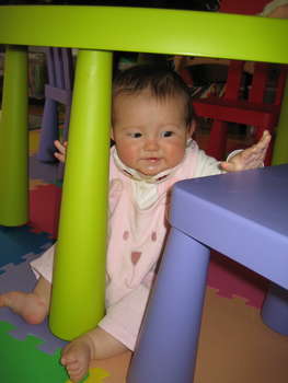 Image 2007-03-20-IXY50-4283.jpg
