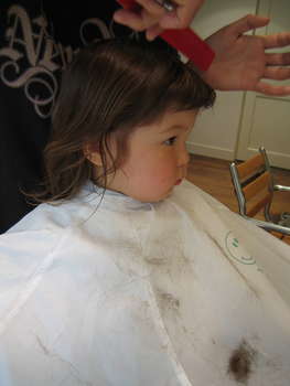 Image 2007-03-29-IXY50-4322.jpg