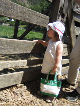 Image 2007-05-06-IXY50-4655.jpg