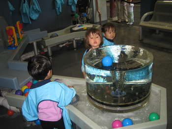Image 2007-05-17-IXY50-4765.jpg