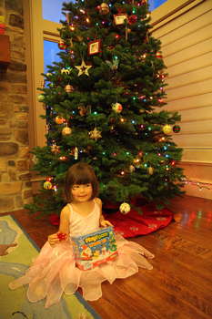 Image 2008-12-13-5D2-0108.jpg