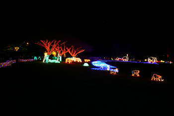 Image 2008-11-30-20D-2108.jpg