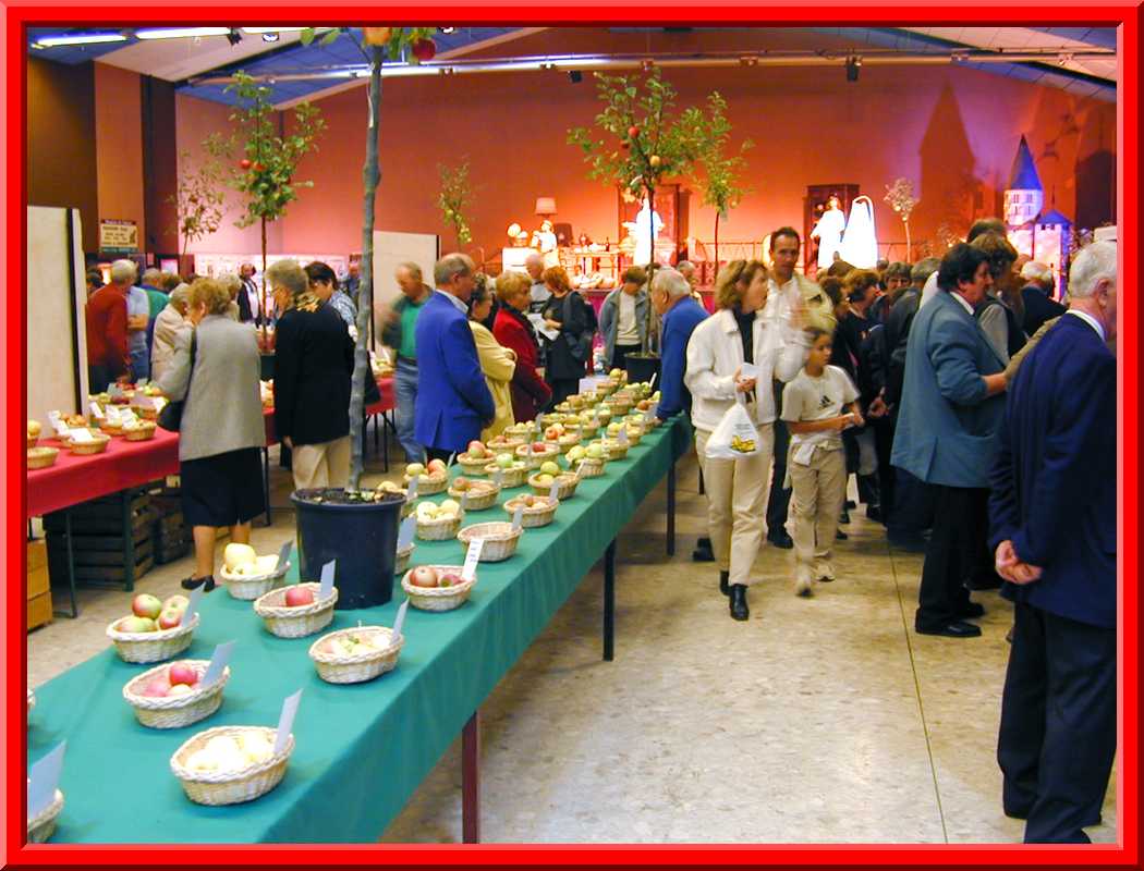 Apple Festival