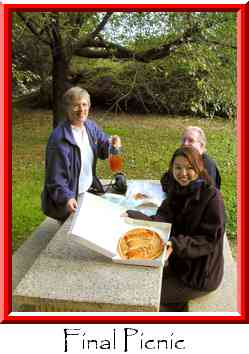 Final Picnic Thumbnail