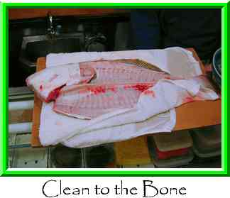 Clean to the Bone Thumbnail