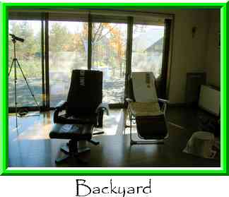 Backyard Thumbnail