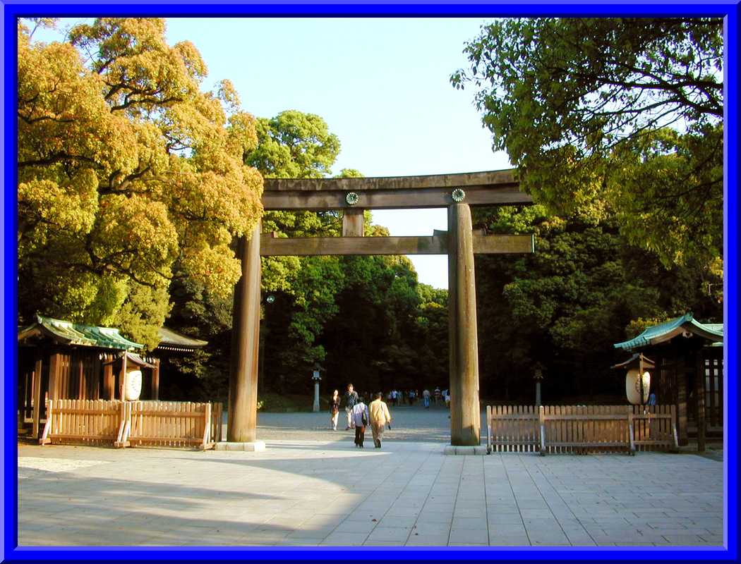 Meiji Jingu Tori