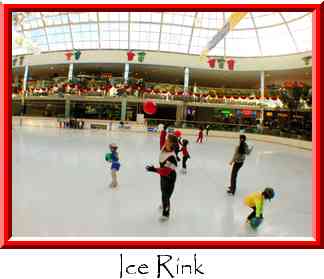 Ice Rink Thumbnail