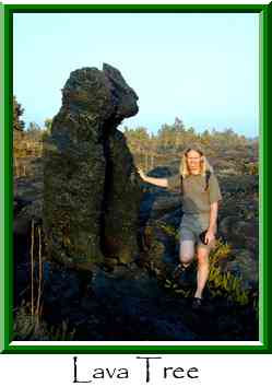 Lava Tree Thumbnail